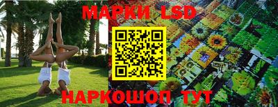 ГАЛЛЮЦИНОГЕННЫЕ ГРИБЫ Берёзовский