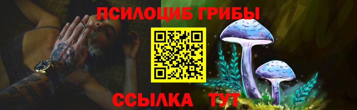 Галлюциногенные грибы мицелий Белая Калитва