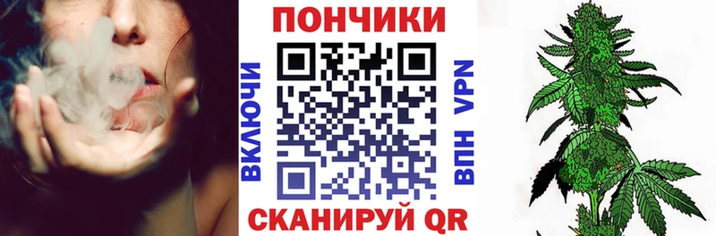 Шишки марихуана сатива  Белая Калитва 